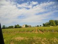 Bougogne 2018